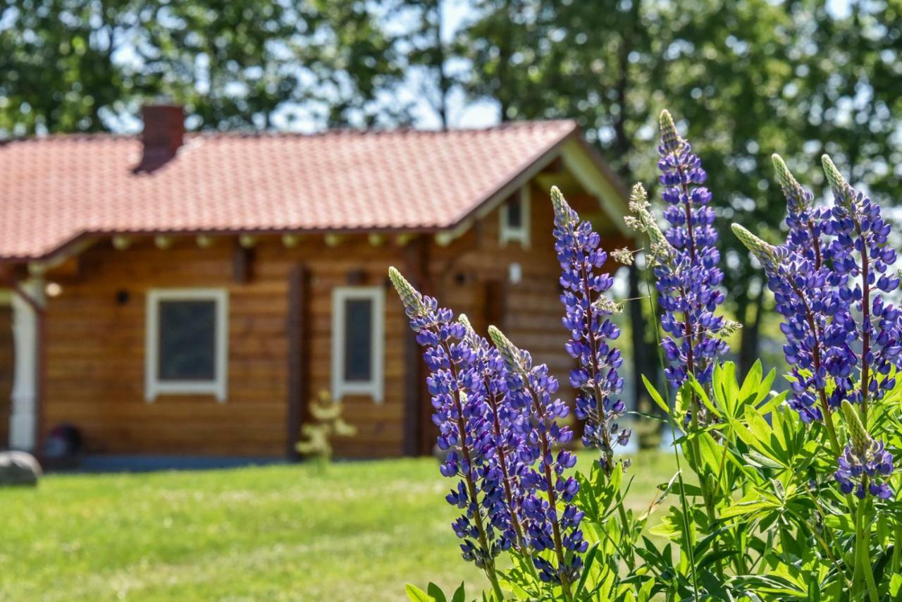Meku Vila Degučiai Eksteriør bilde